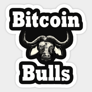 Bitcoin Bull Run Crypto Currency Sticker